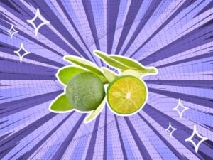 substitutes-for-Calamansi