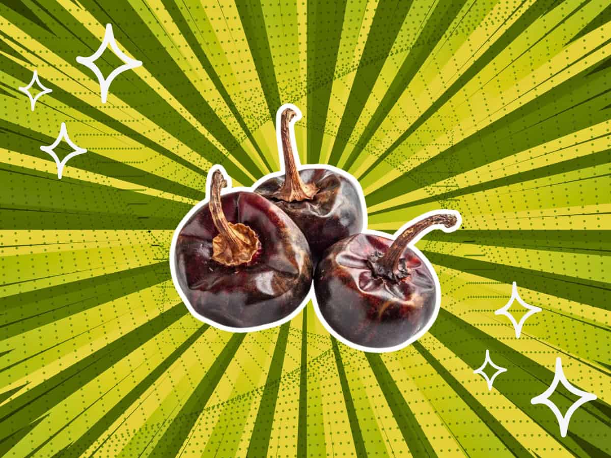 substitutes-for-Cascabel-Chili