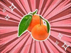 substitutes-for-Clementines