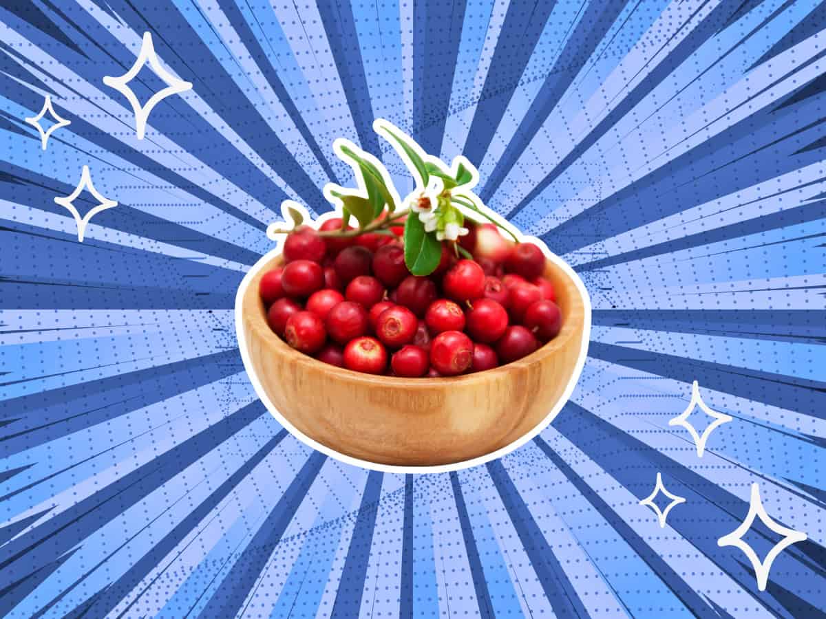 substitutes-for-Cranberries