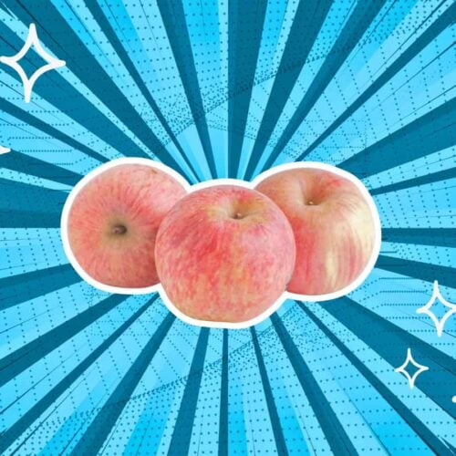 substitutes-for-Fuji-Apples