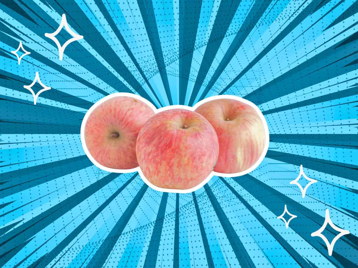 substitutes-for-Fuji-Apples