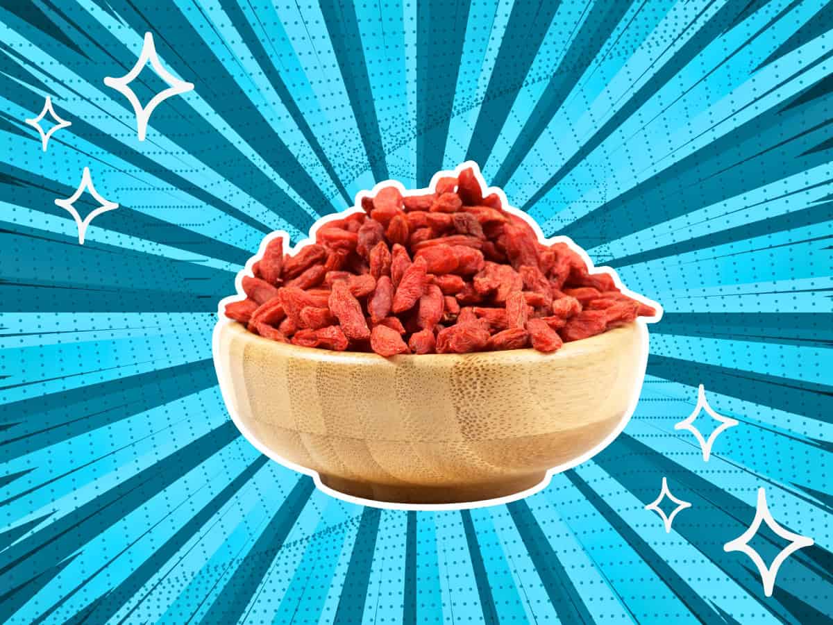 substitutes-for-Goji-Berries