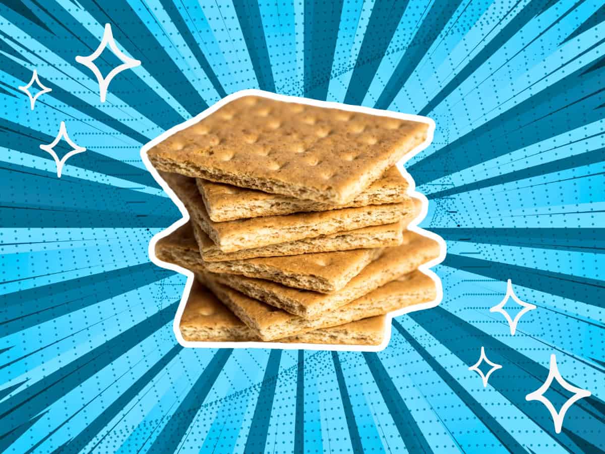 7 Tasty Graham Cracker Substitutes Mix In Fun