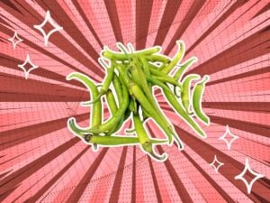 substitutes-for-Guindilla-Peppers