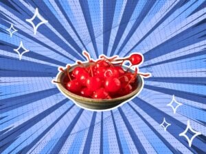 substitutes-for-Maraschino-Cherries