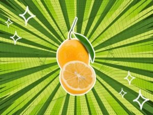 substitutes-for-Meyer-Lemons
