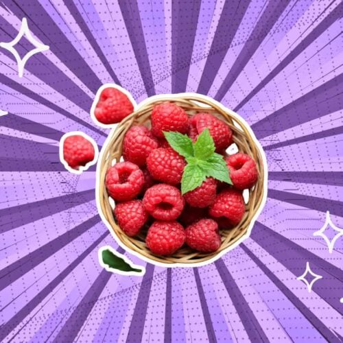 substitutes-for-Raspberries