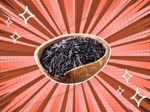 substitutes-for-Wild-Rice