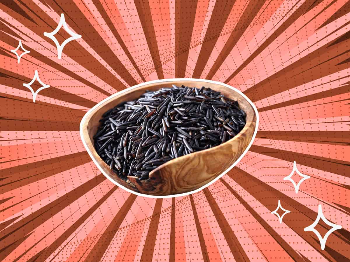 substitutes-for-Wild-Rice