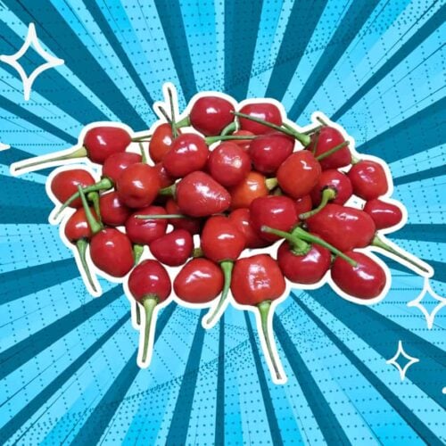 substitutes-for-Wiri-Wiri-Pepper