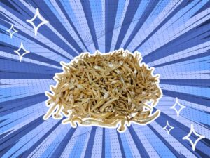 substitutes-for-anchovies