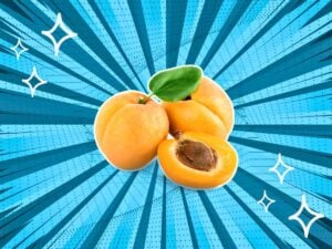 substitutes-for-apricots