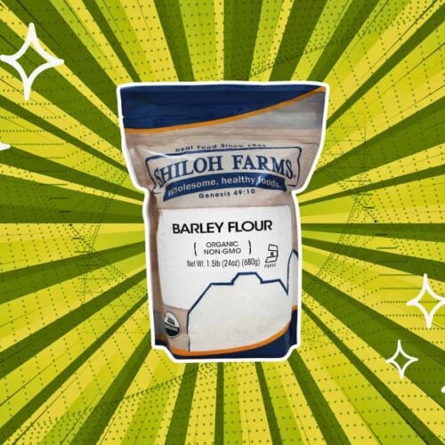 substitutes-for-barley-flour