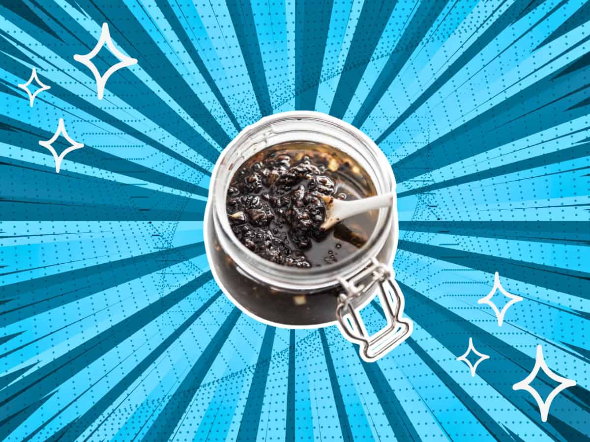 5 Black Bean Sauce Substitutes Enhance Your Recipes