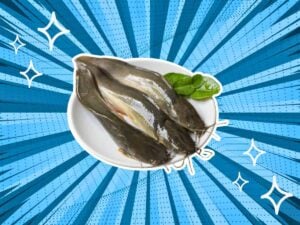 substitutes-for-catfish