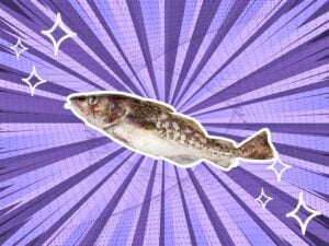 substitutes-for-cod-fish