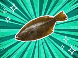 substitutes-for-flounder