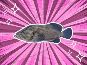 substitutes-for-grouper
