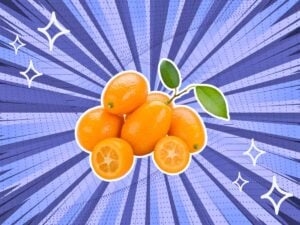substitutes-for-kumquats