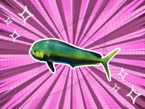 substitutes-for-mahi-mahi