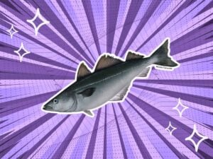 substitutes-for-pollock