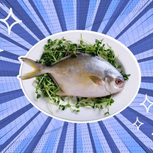 substitutes-for-pompano