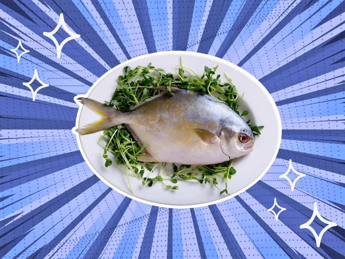 substitutes-for-pompano