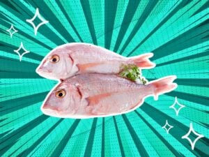 substitutes-for-red-snapper