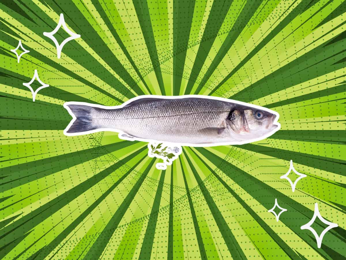 7 Tasty Sea Bass Substitutes Catch the Flavor