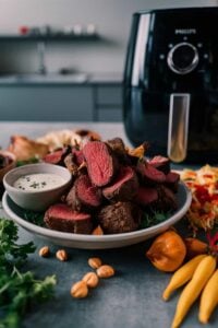 air fryer venison meat
