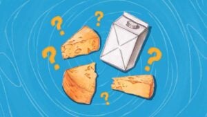 what is vegan cheese
