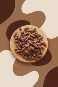 substitutes for Cacao Nibs