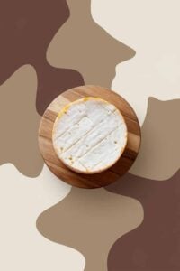 substitutes for Caciotta Cheese