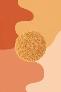 substitutes for Chicken Bouillon Granules