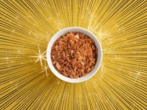 substitutes for Dashi Powder