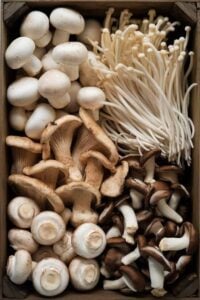 substitutes for Enoki Mushrooms