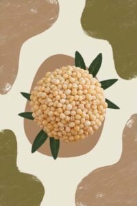 substitutes for Hominy