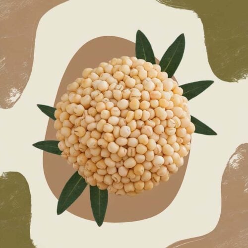 substitutes for Hominy