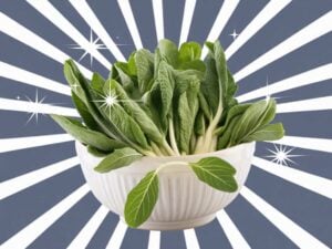 substitutes for Lovage