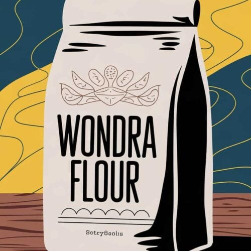 substitutes for wondra flour