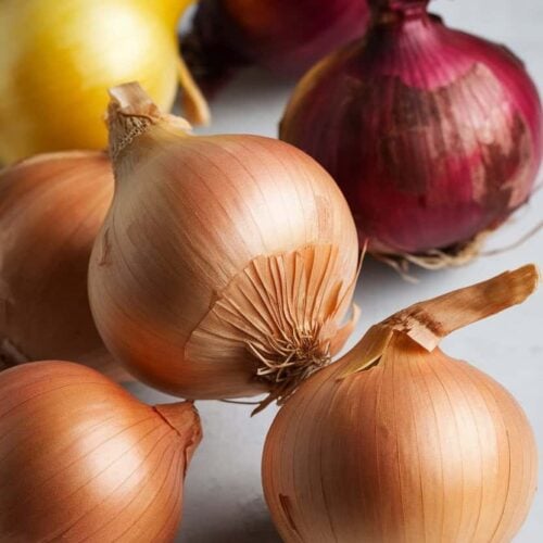 substitutes for Cipollini Onions